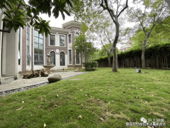 当我们集中到上海焦点区域（静安、普陀、杨浦